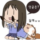 인치업하실때 참고하세요 이미지