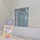 오복동물치과병원 | 내돈내산 오복동물치과병원 반려견 스케일링/발치 후기