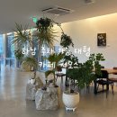 하남대로739번길 | 하남 대형 카페 주차 가능한 시오스 내돈내산