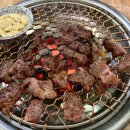 대전 고반발 골프채 추천 혼마 베레스 2스타 마제스티 프레스티지오 13 교환 구매 후기 증평 골프샵