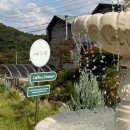 느띠 | 전주 근교 모악산 근처 핫플 감성카페추천 느띠