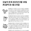 2025년 8월 18일 오늘의 운세 이미지