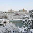 원광대학교 이미지