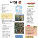 태봉마트 | [가파도백패킹] 제주 가파도 백패킹, 태봉왓🌿 일몰과 일출 꼭 보세요💛 그리고 모슬포맛집 영해식당👍