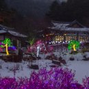 스팟 이미지