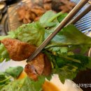 족이랑꼼이랑 티스토리