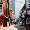 민들레 공인중개사사무소 네이버블로그