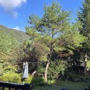 오이코스테이 이미지