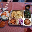 시누 Daum카페