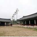 D01041 Daum카페
