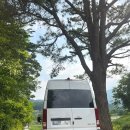 여수디젤서비스 | 부천 쏠라티 솔라티 렌트 15인승 미니버스 대여