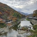 진도산새소리민박 | 부산근교 배내골 오토캠핑장 애견동반 가능한 강마을캠핑장 입동캠핑후기
