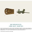 기원 후 약 30년을 기준으로 한 낙랑 문화의 변화 역사 관련 가설 이미지