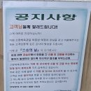 엘리트 체육관 | 일산 고양 체육관 수영장 소개 재등록 및 첫 오리발 수영 수업 후기
