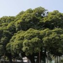 명성개발 네이버블로그
