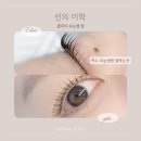 선의힐링센타 | 여수 속눈썹펌 잘하는 곳 클리닉 속눈썹펌으로 눈썹 영양 관리까지 선의미학