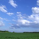 하늘과바다 이미지