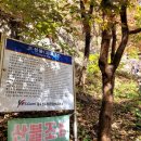 금오산도립공원 올레길 화장실 네이버블로그