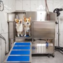 멍얀트리 이미지