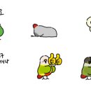 새 하나농장 이미지