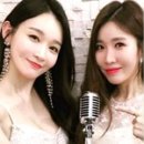 단짝쇼핑 인사이트