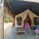 세탁친구 이미지