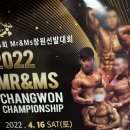 포스팅하기에는 애매한 사진만 모아서 일상 쓰기