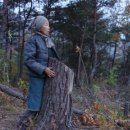 전기는 눈물을 타고 흐르고, 밀양 송전탑 건설 강행에 대한 나눔 문화의 호소문 이미지