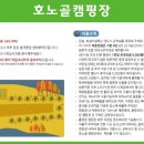 호노골캠핑장 이미지