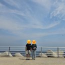 (카페) 경주 감포 수족관이 있는 카페 - 투썸플레이스 감포항점 (내돈내산)