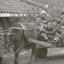 선녀와나무꾼 티스토리