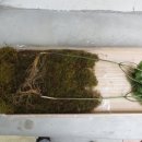 박은숙농장 이미지