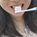 주식회사 메디누보 | 치약추천 덴티라보 치약 잇몸치약 매일매일 사용하고있어요!