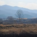 인처골시골밥상 이미지