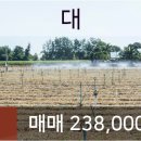 연원필치과의원 이미지