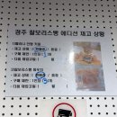 첨성로1-1(북) | 경주 출장이라고 쓰고 여행이라고 읽는다 (feat. 성심당) - 20251223