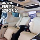 진영스틸 | 경상도 카니발 특장업체 엠리무진 창원전시장 스틸루프 방문 후기