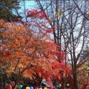 장흥수림원 이미지