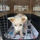 소답동165 이미지