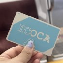 고도리몰 이미지