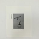 식물작업실송하