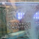 회뜨는중강서 이미지
