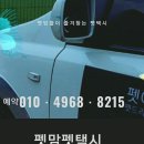 펫아찌펫아씨 이미지
