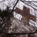 곤지암 동물병원 이미지