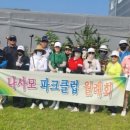 사파동176 이미지