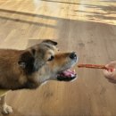 오공이 이미지