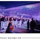 이러케 이미지