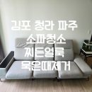 호반둥지크린세탁 | 청라 김포 소파 청소 쇼파 얼룩 찌든 때 오염 제거 이크린홈케어
