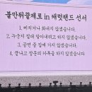 이찌방 꼬꼬 | [캐럿로그] 2024 세븐틴 캐럿랜드 온콘 후기