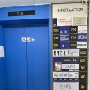 헤어보떼 이미지